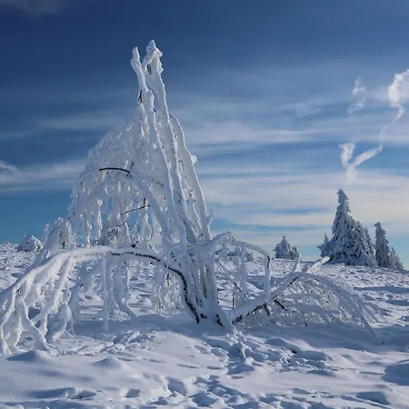 Hankeln Apartamento Winterberg