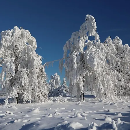 Appartamento Hankeln *