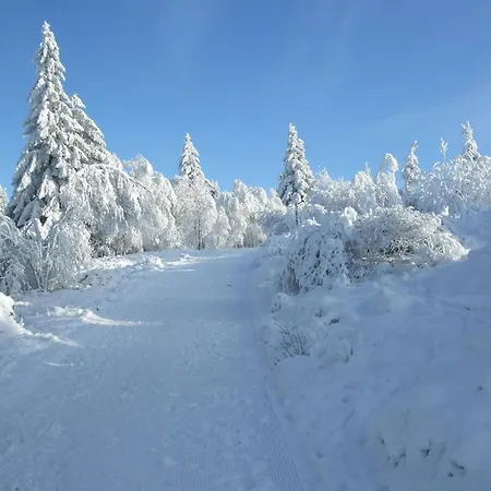 Appartamento Hankeln Winterberg