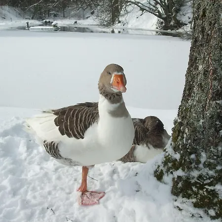 Apartamento Hankeln Winterberg