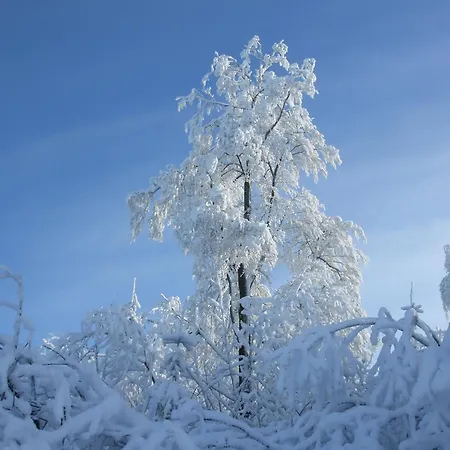 Appartamento Hankeln Winterberg