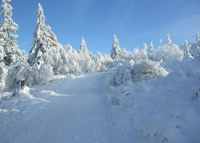 Apartman Hankeln Winterberg