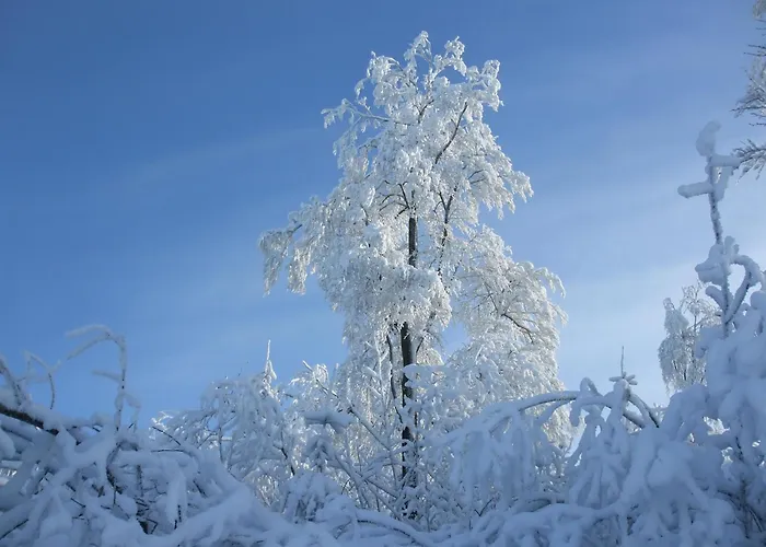 Apartment Hankeln Winterberg
